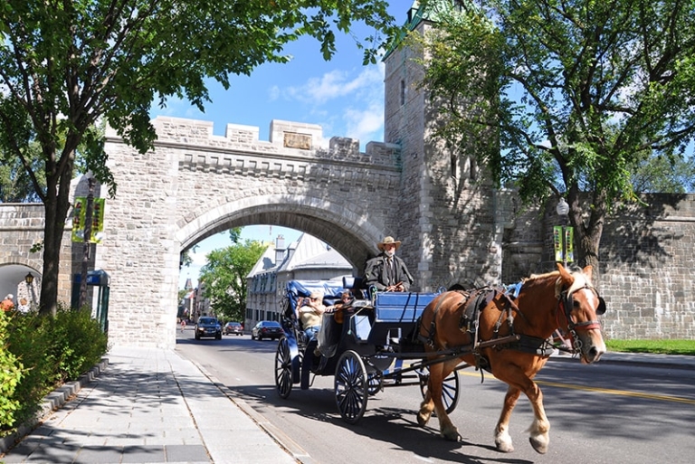 Horse Carriage in front of St. Louis Gate in Quebec