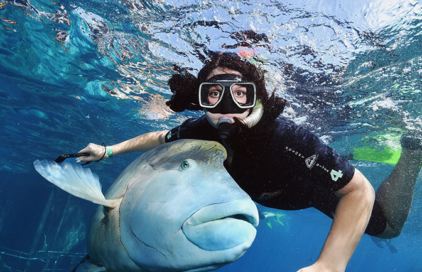 Student snorkeling in Australia