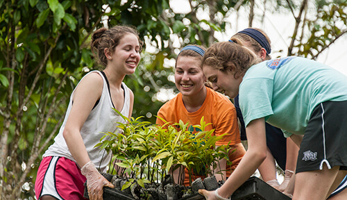 Students carrying saplings for Costa Rica service project