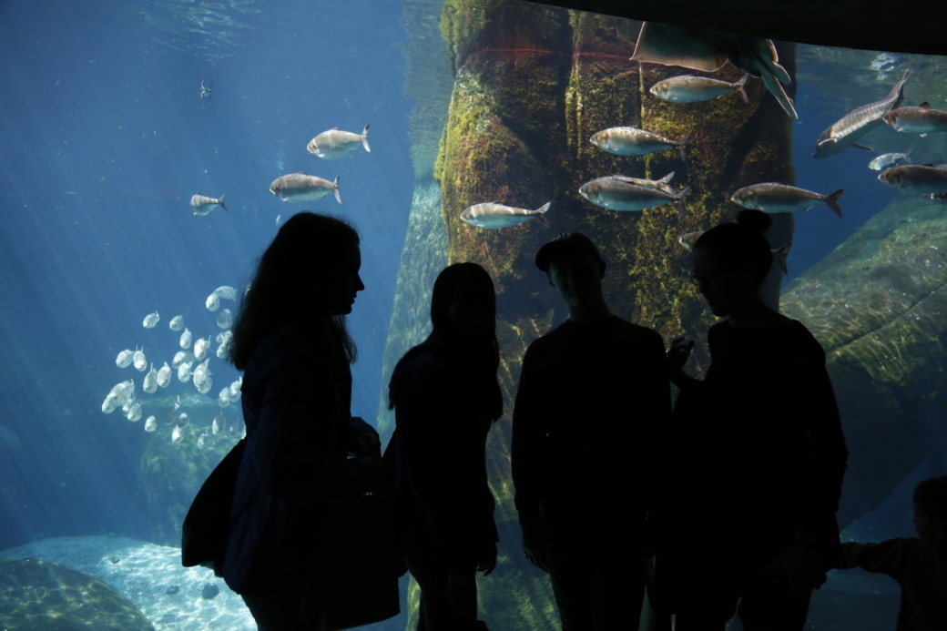 Students at the Montreal Biodome