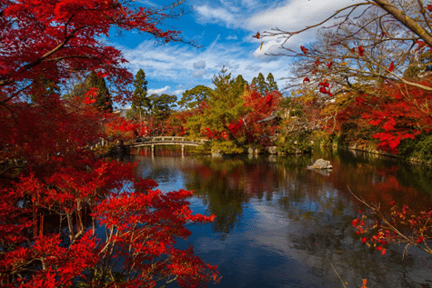 Kyoto in Fall