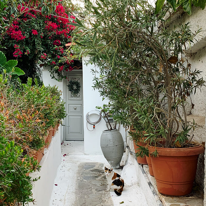 House entrance in Anafiotika