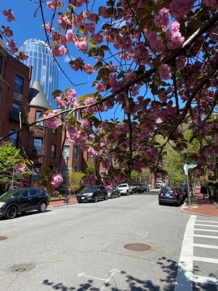 Springtime in Boston