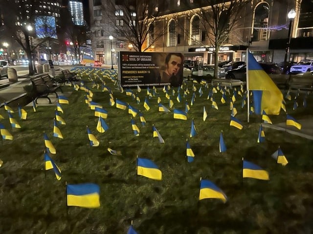 Ukraine Flags