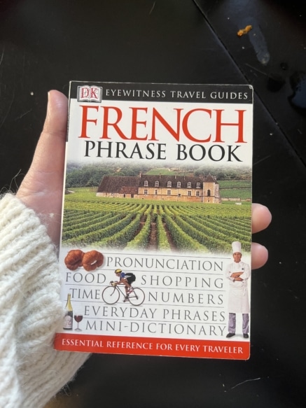 Gift Idea for Travelers: A pocket sized phrase book