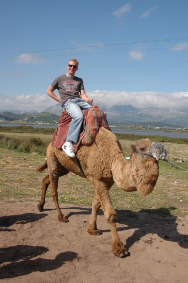 Travel by camel in the Sahara desert