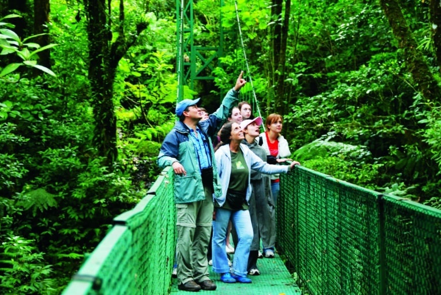 Tour of the Cloud Forest in Monteverde 