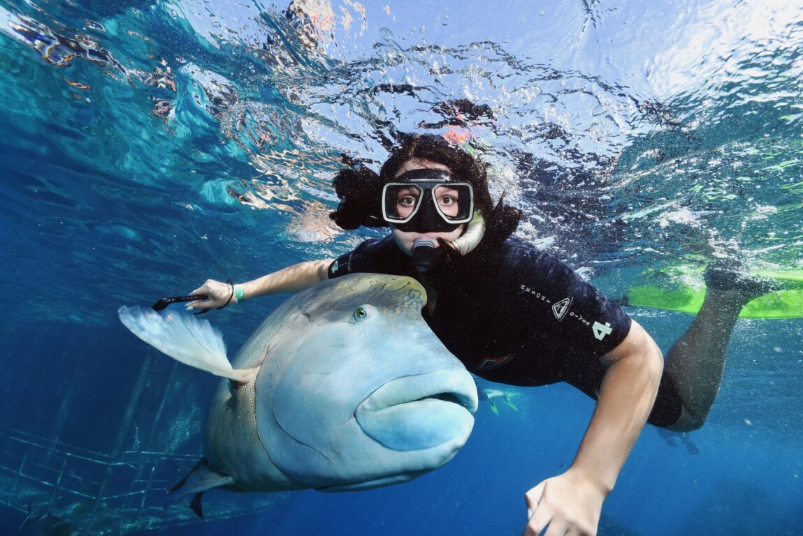 ACIS student snorkeling in the Great Barrier Reef