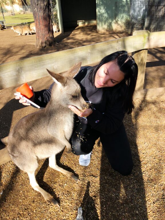 ACIS Student with baby kangaroo