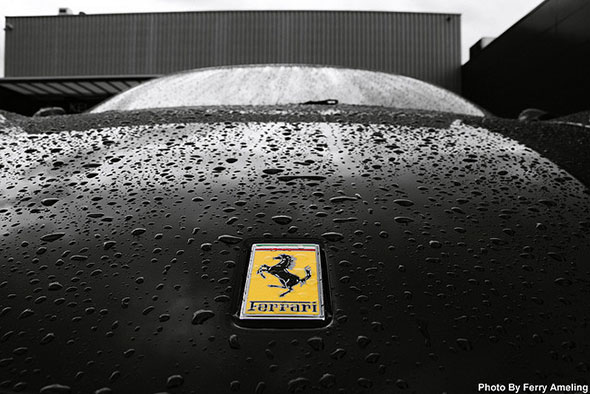 The ferrai logo on a black, wet hood