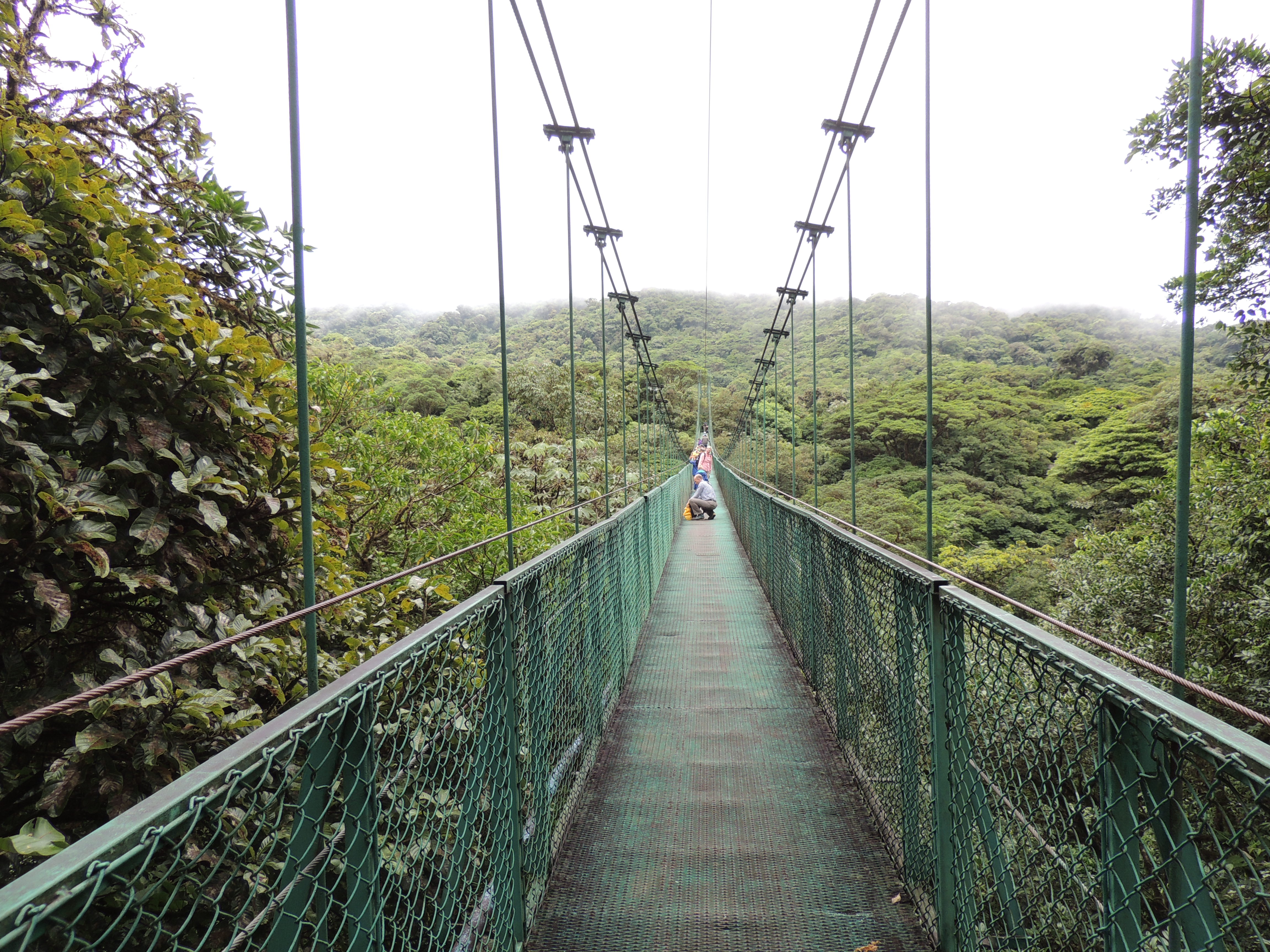 educational tours to Costa Rica