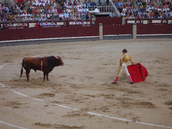 spanish language resources - bullfighting