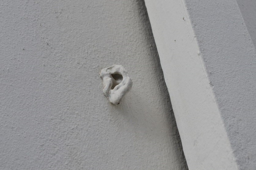 The Ears of Covent Garden, a plaster cast of an ear affixed to a wall