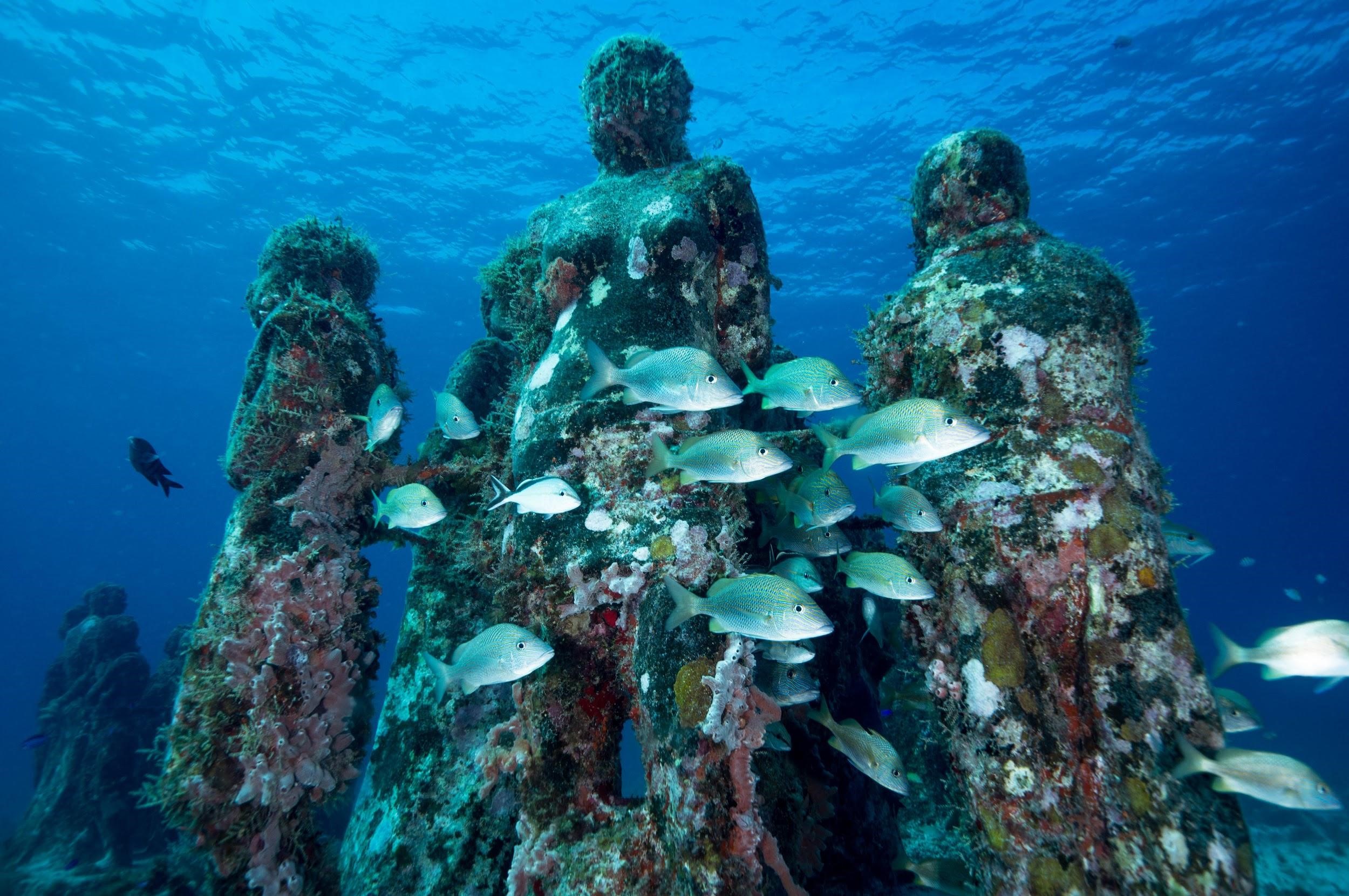  underwater sculptures covered in coral and sea life in Cancún