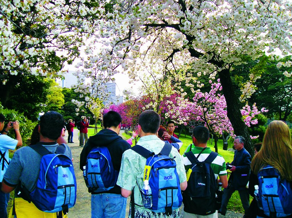 Hanami Ancient Traditions You Might See on your Student Tour to Japan